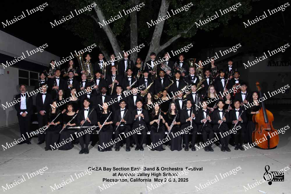 Musical Images